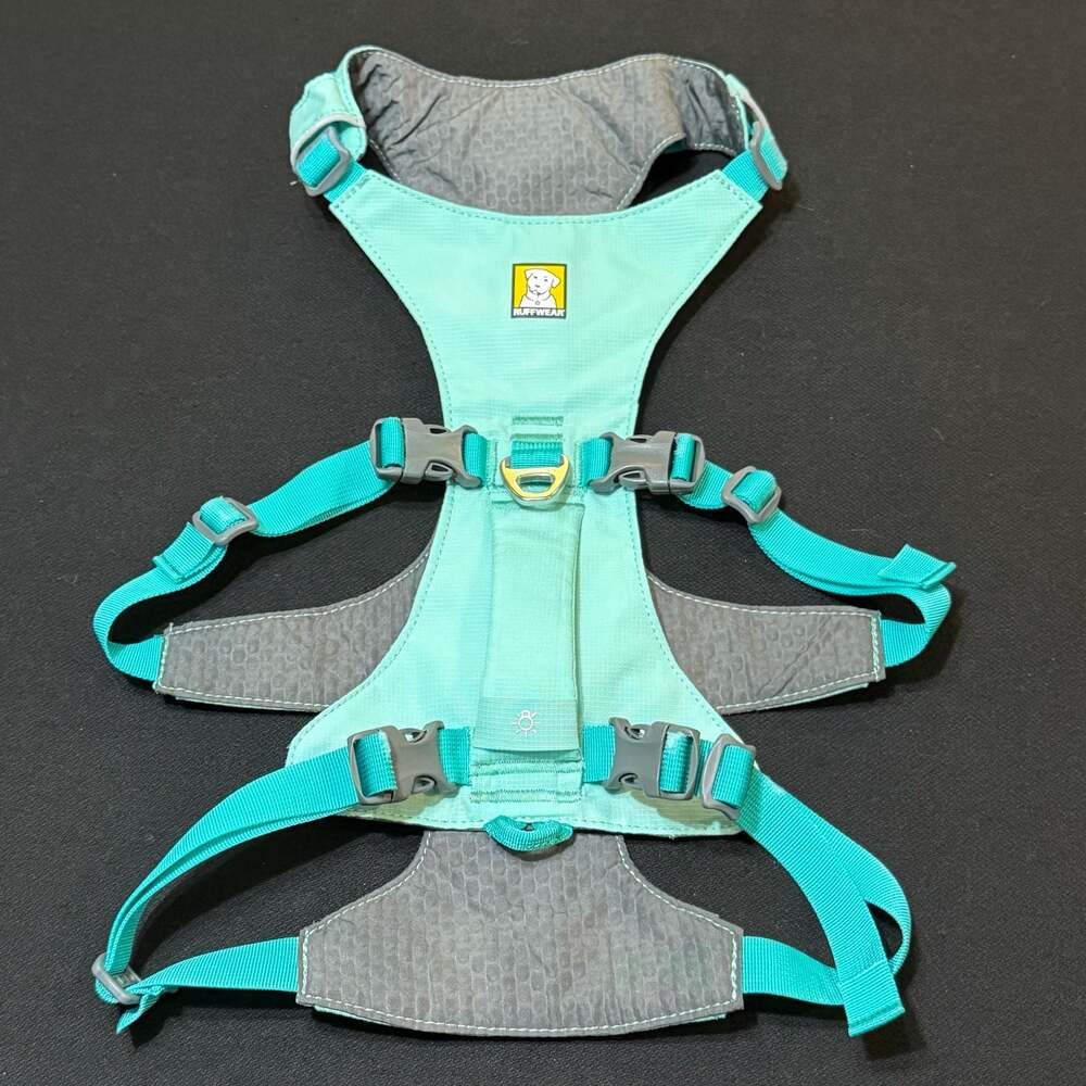 Ruffwear Flagline Dog Harness in Sage Green/Turquoise sz M